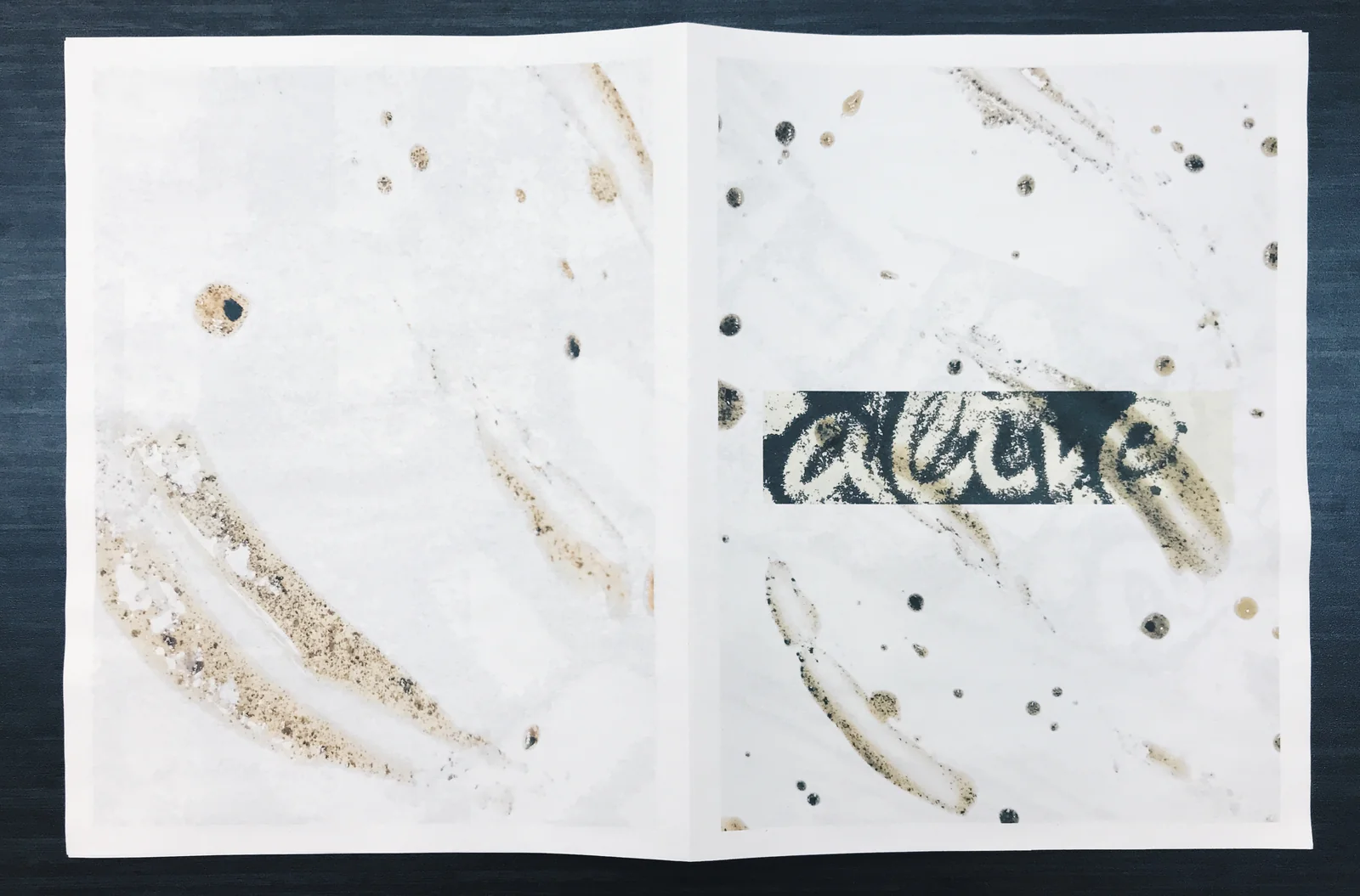 zine image