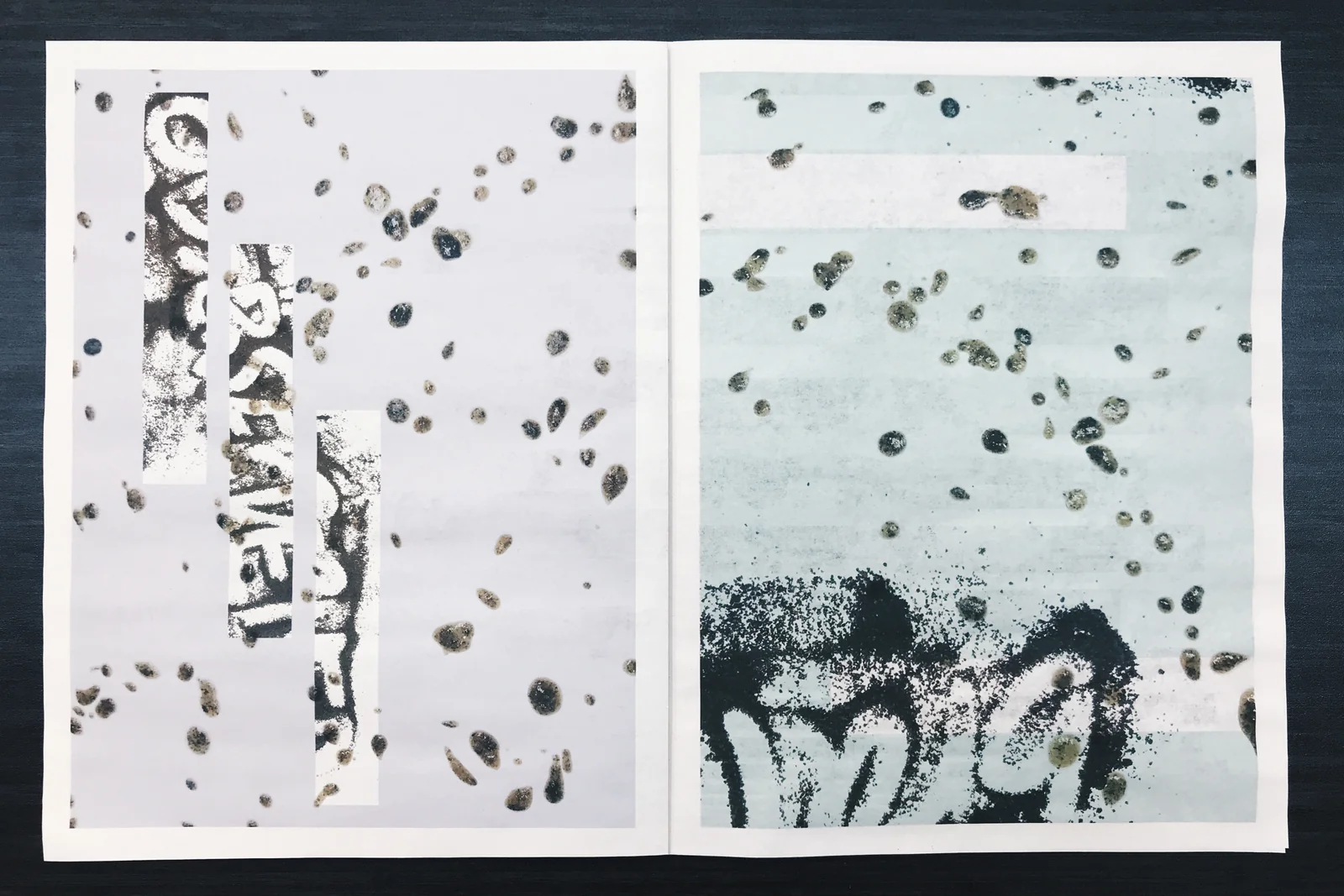 zine image