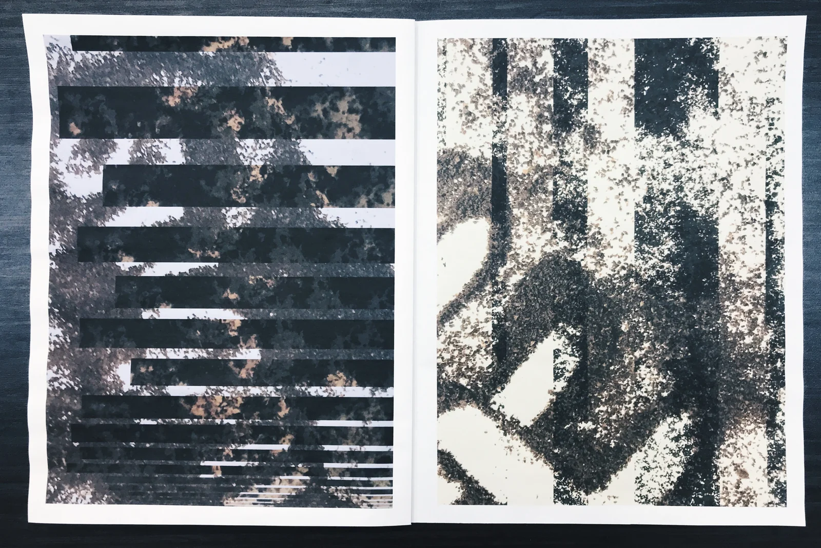 zine image