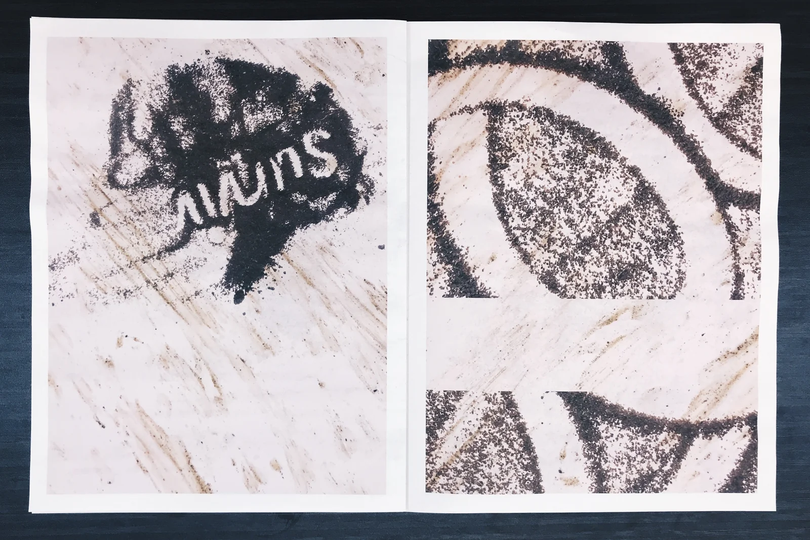 zine image